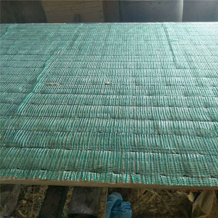 好色网站入口
